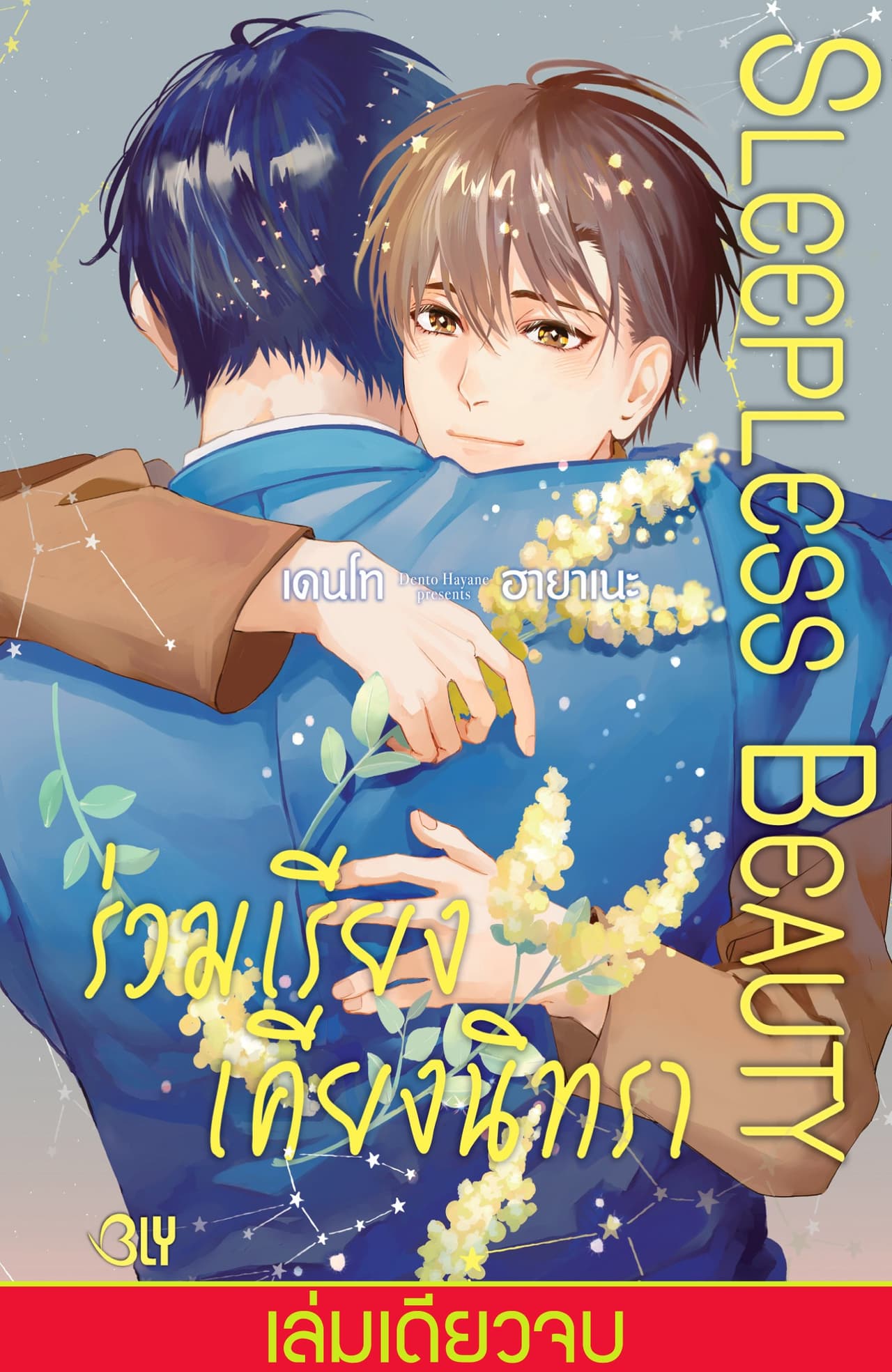SLEEPLESS BEAUTY ร่วมเรียงเคียงนิทรา (เล่มเดียวจบ)