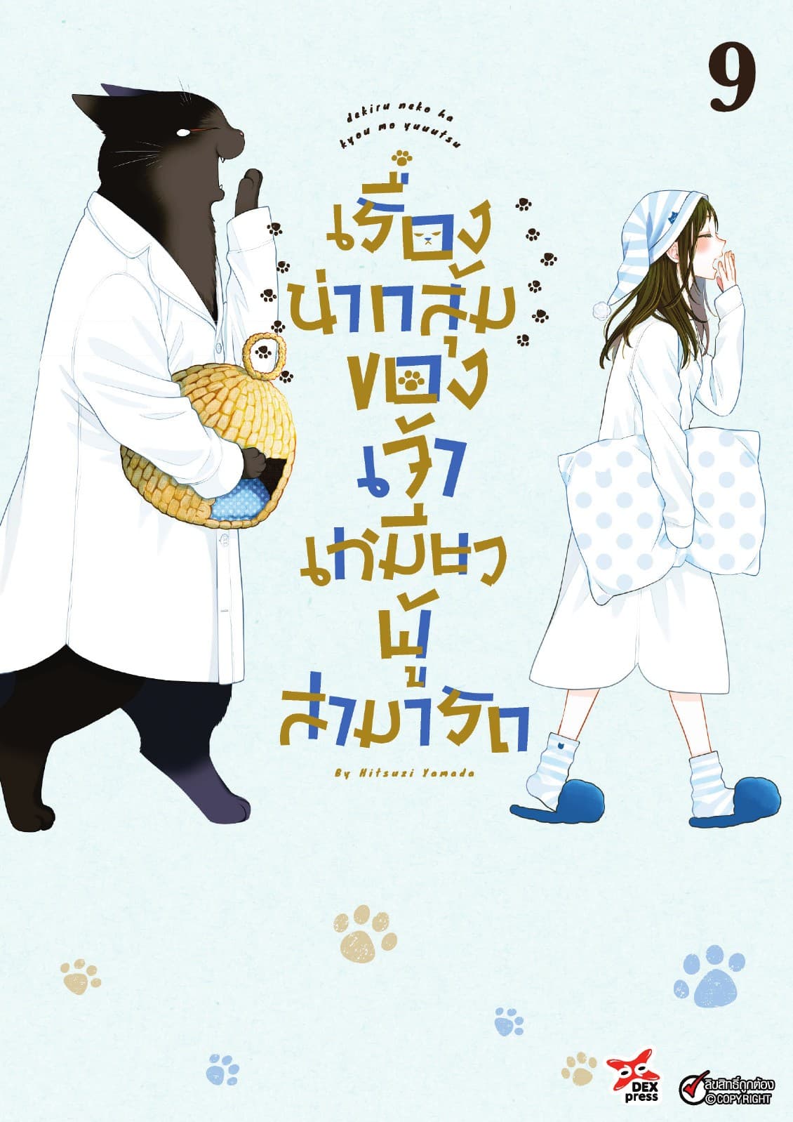เรื่องน่ากลุ้มของเจ้าเหมียวผู้สามารถ เล่ม 9