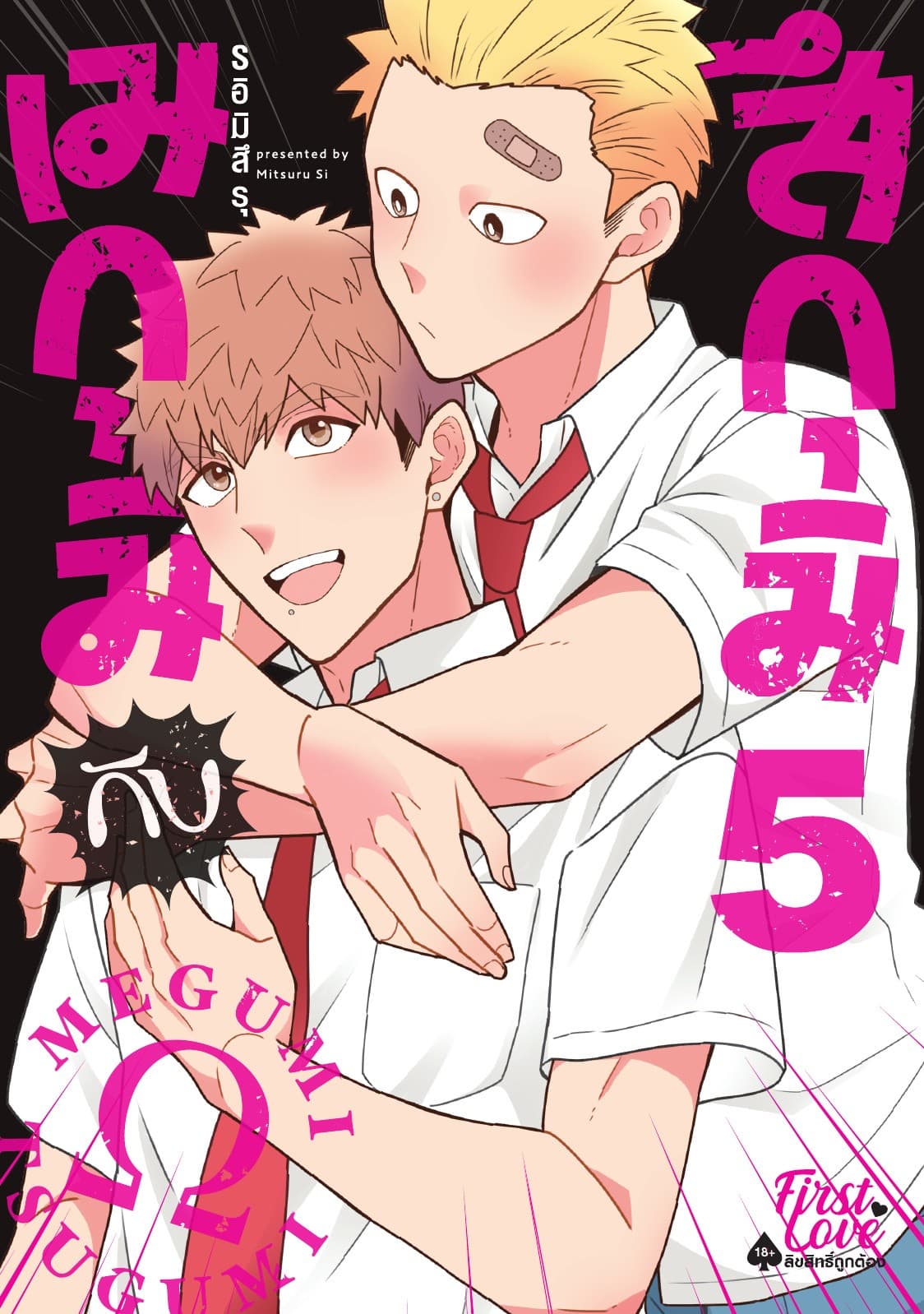 เมกุมิกับสึกุมิ Volume 5