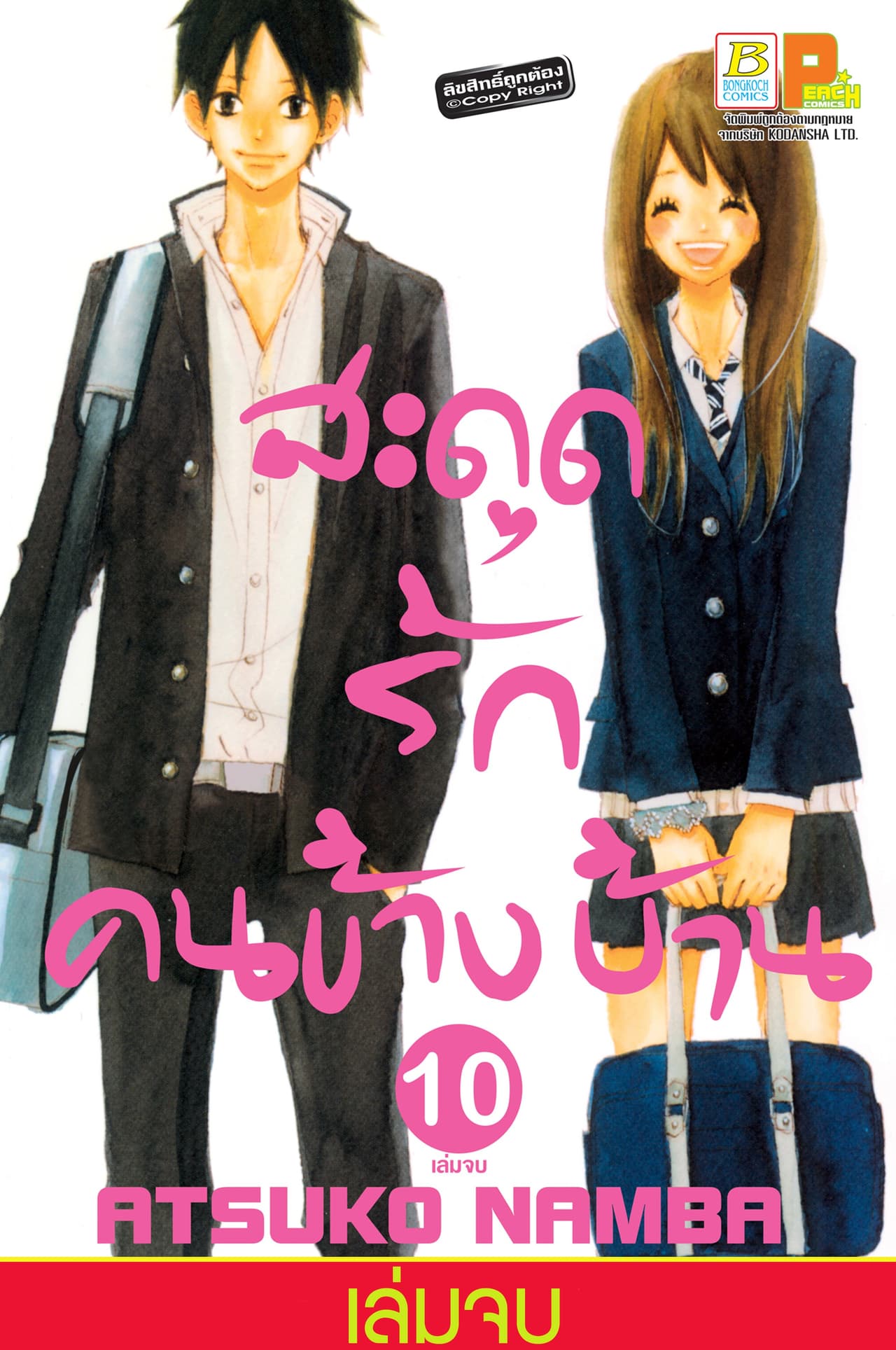 สะดุดรัก คนข้างบ้าน 10 (เล่มจบ)