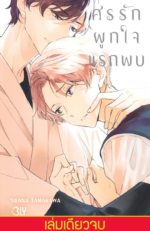 ศรรักผูกใจแรกพบ (เล่มเดียวจบ)