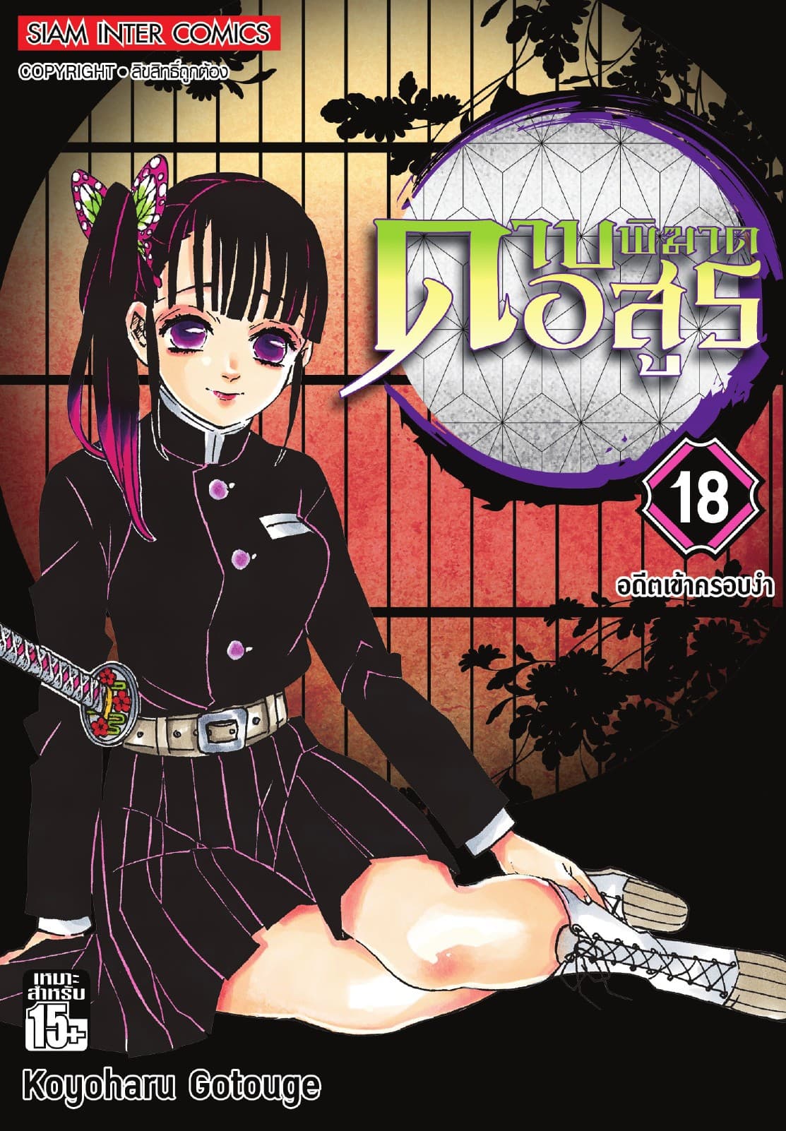 ดาบพิฆาตอสูร เล่ม 18 อดีตเข้าครอบงำ
