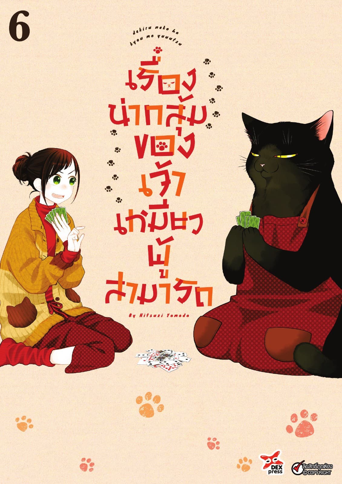 เรื่องน่ากลุ้มของเจ้าเหมียวผู้สามารถ เล่ม 6