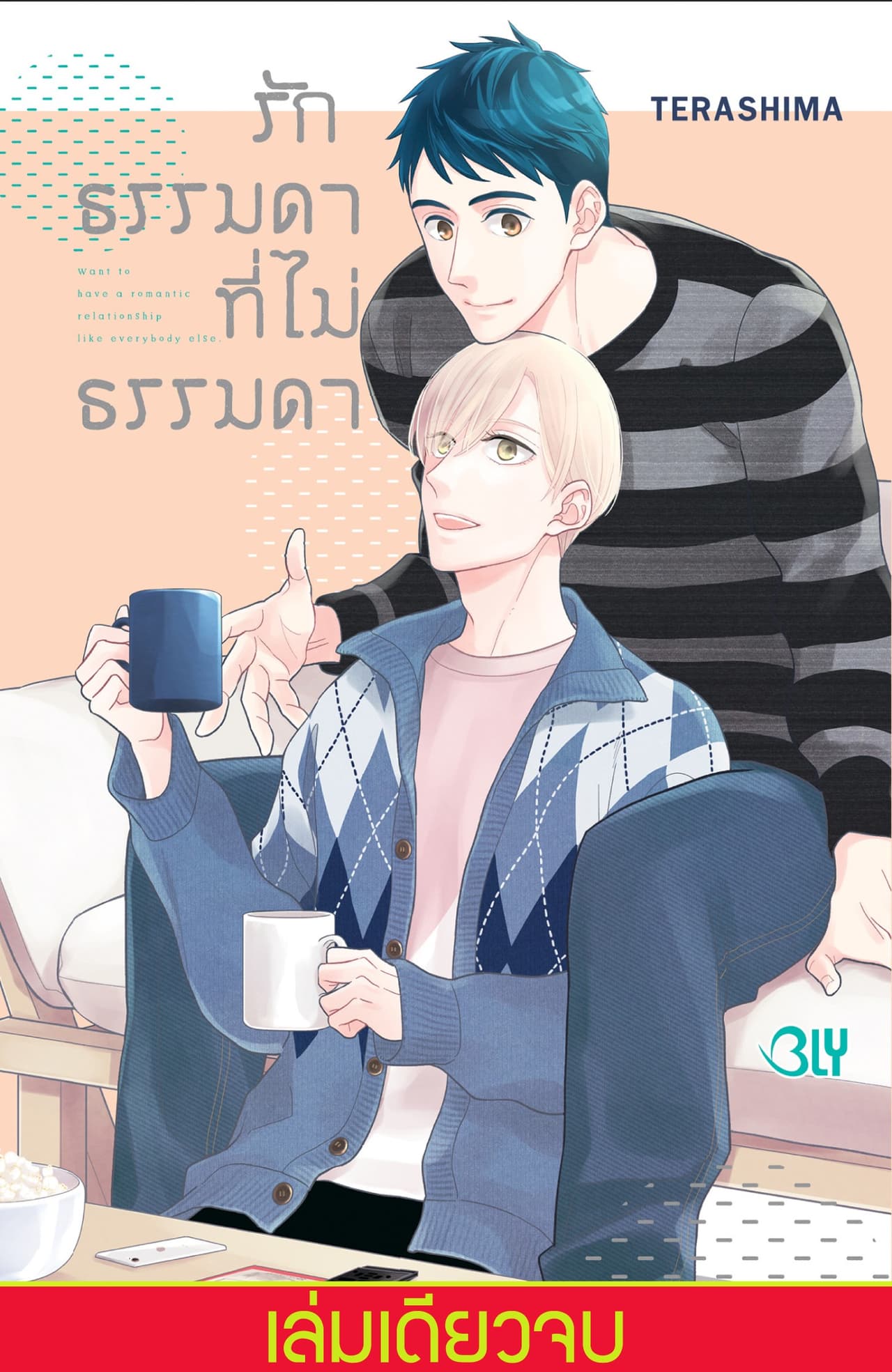 รักธรรมดาที่ไม่ธรรมดา (เล่มเดียวจบ)
