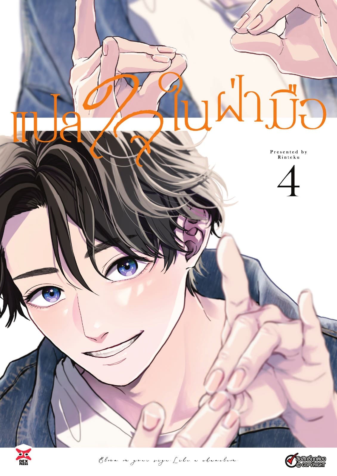 แปลใจในฝ่ามือ เล่ม 4