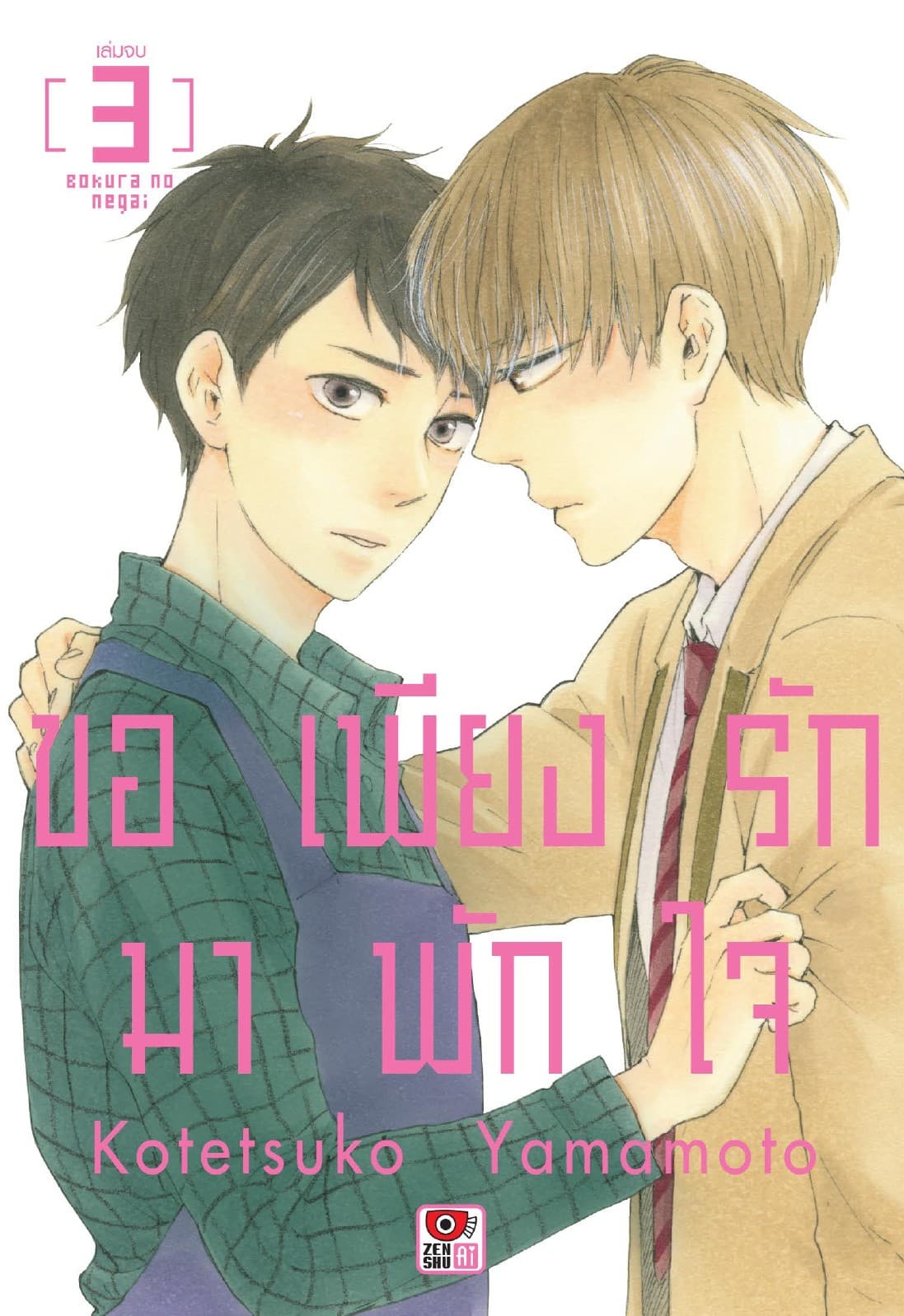 ขอเพียงรักมาพักใจ เล่ม 3 (จบ)