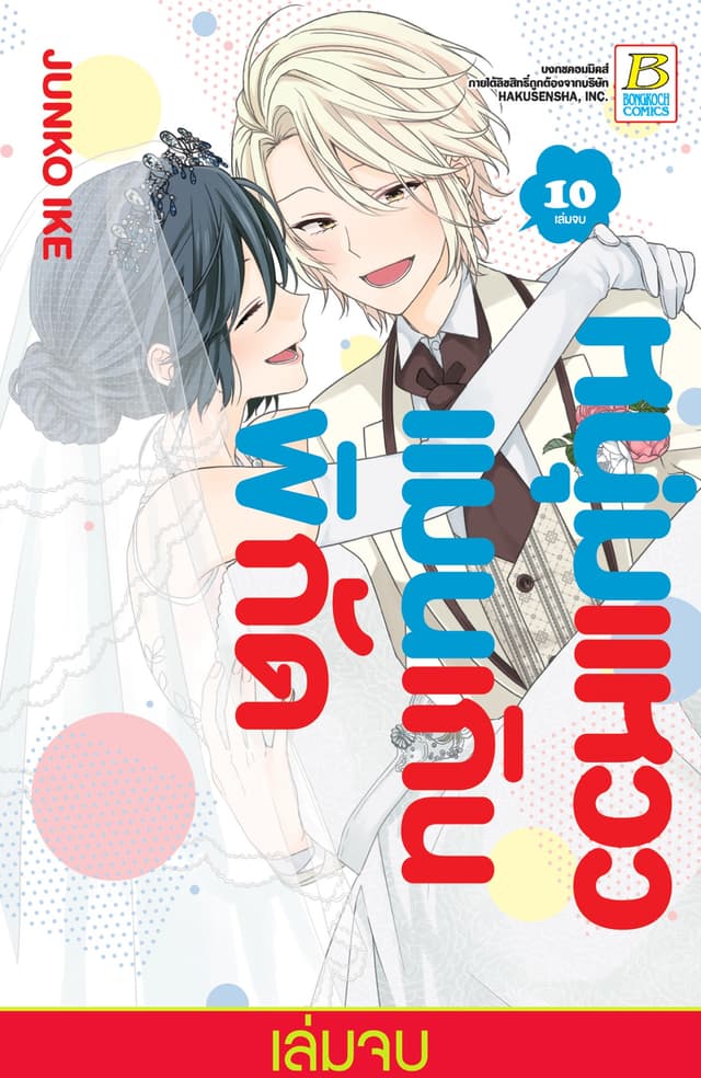 หนุ่มแหวว แมนเกินพิกัด 10 (เล่มจบ)