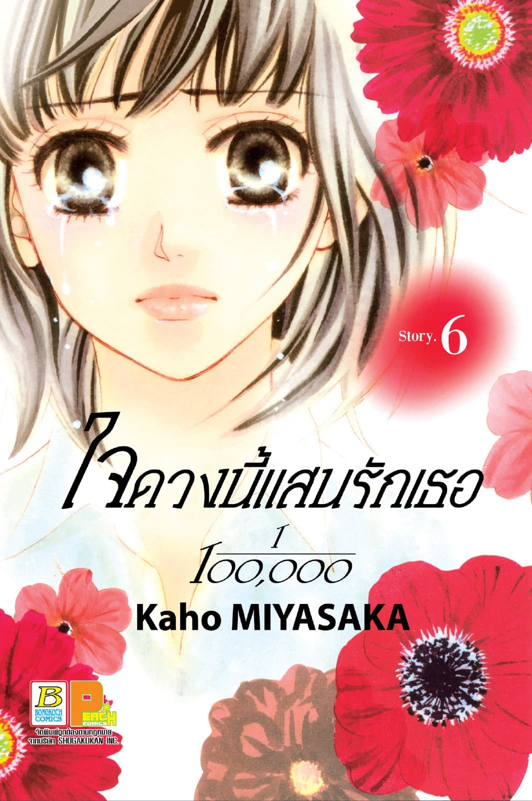 ใจดวงนี้แสนรักเธอ 1/100,000 เล่ม 6