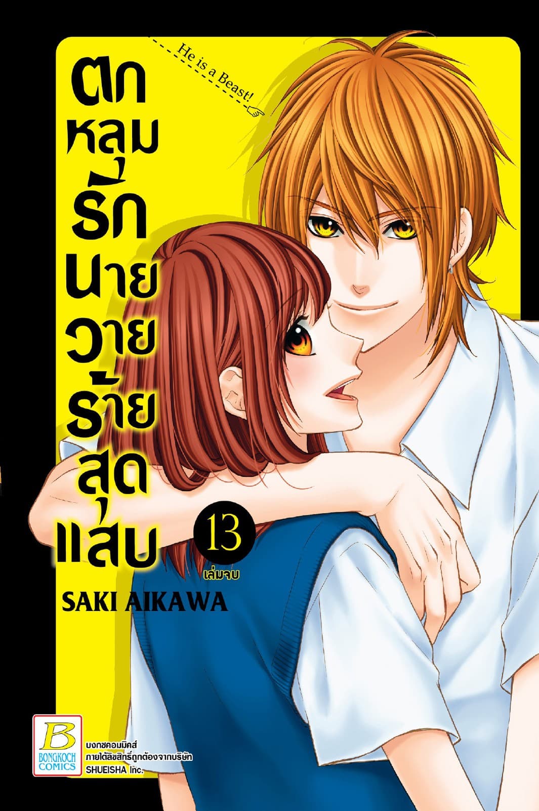 ตกหลุมรักนายวายร้ายสุดแสบ 13 (เล่มจบ)