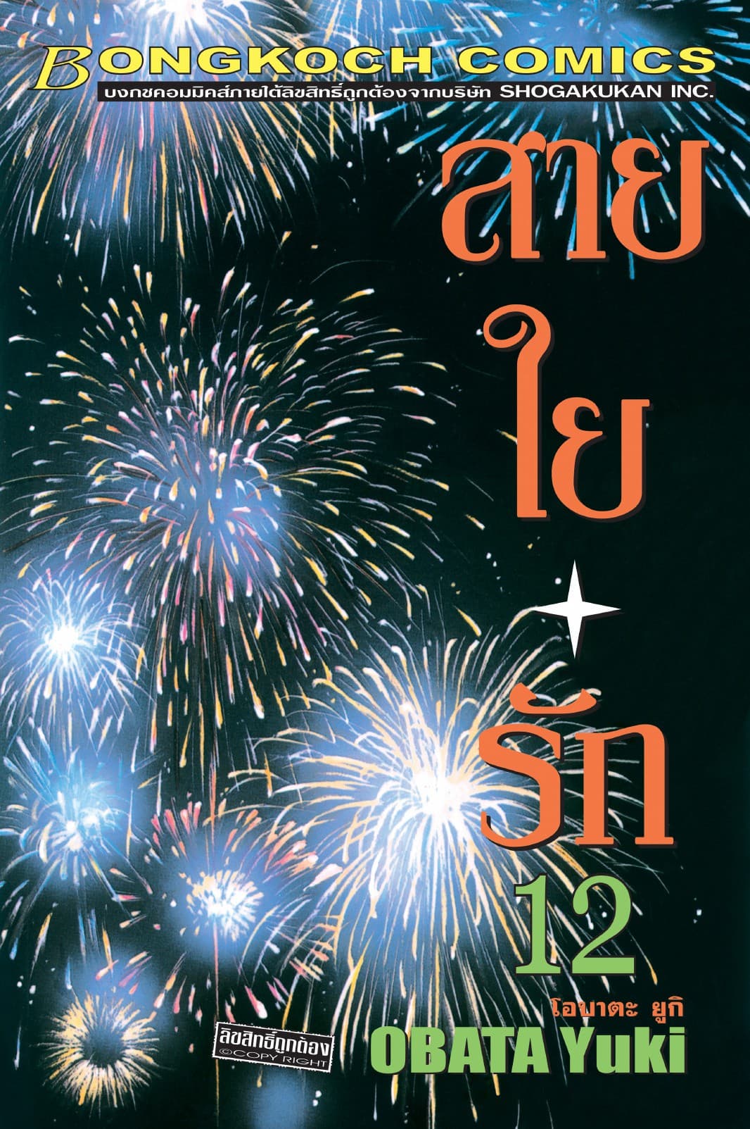 สายใยรัก 12