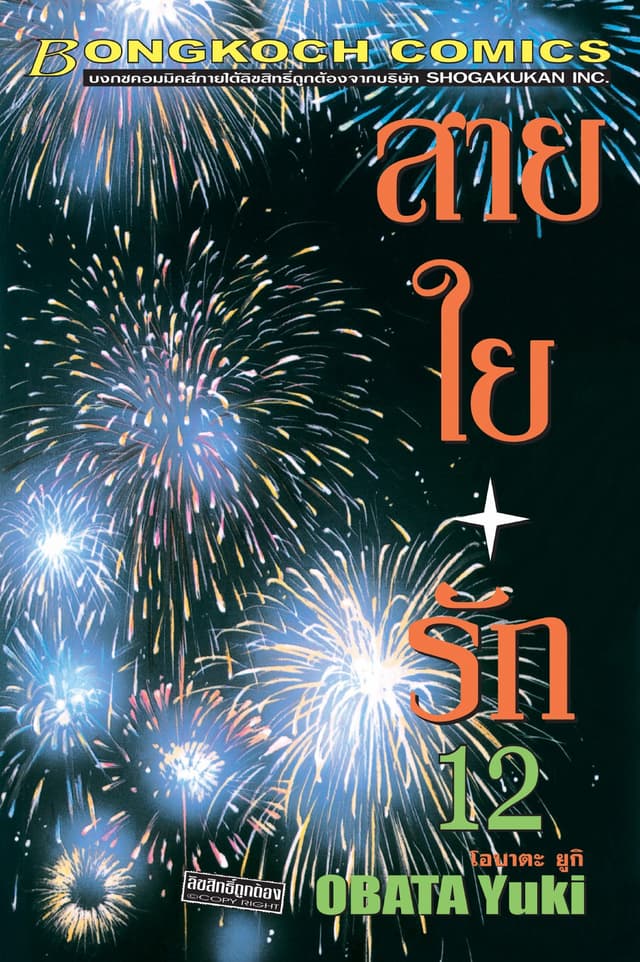 สายใยรัก 12