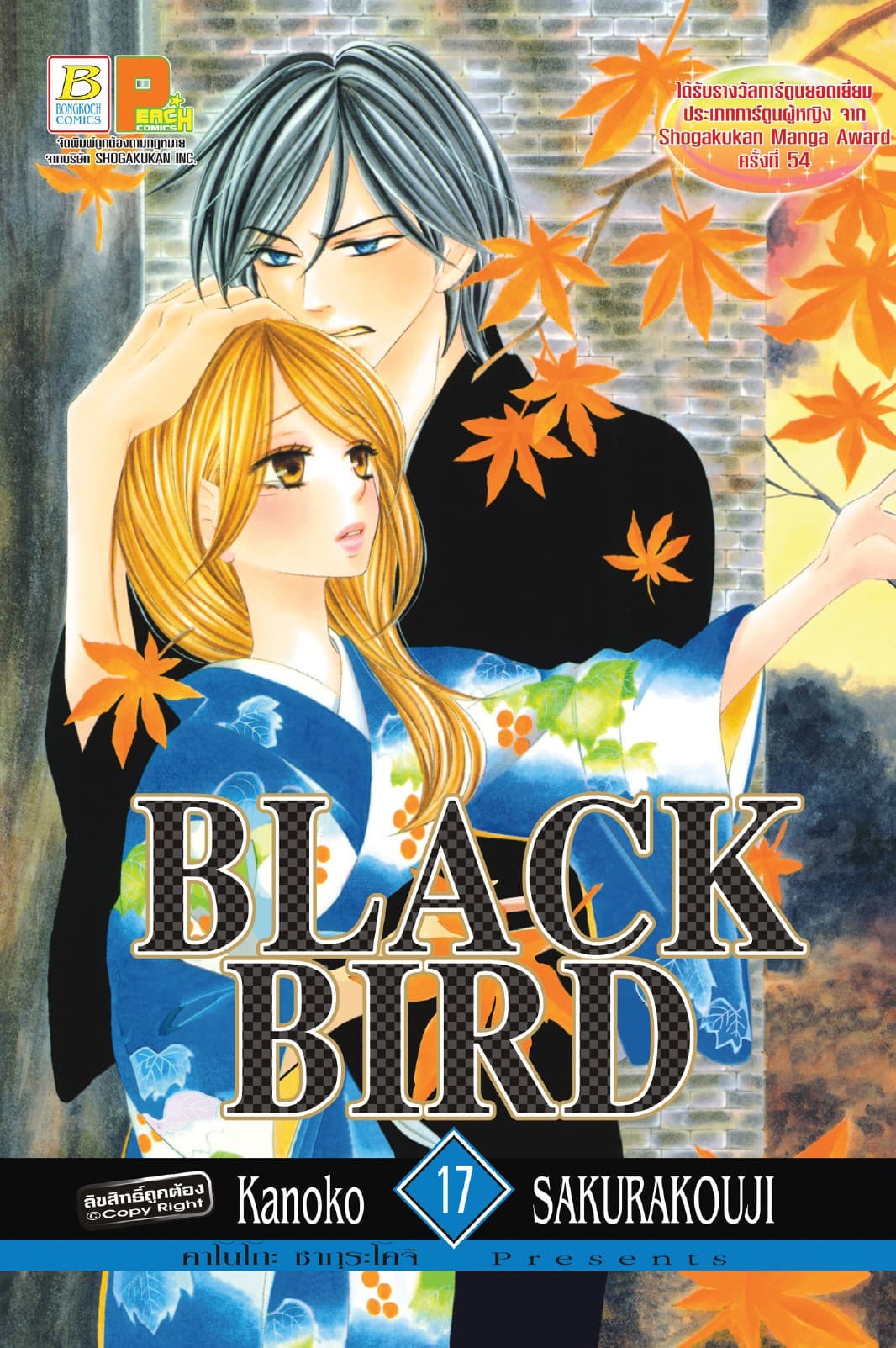 BLACK BIRD 17
