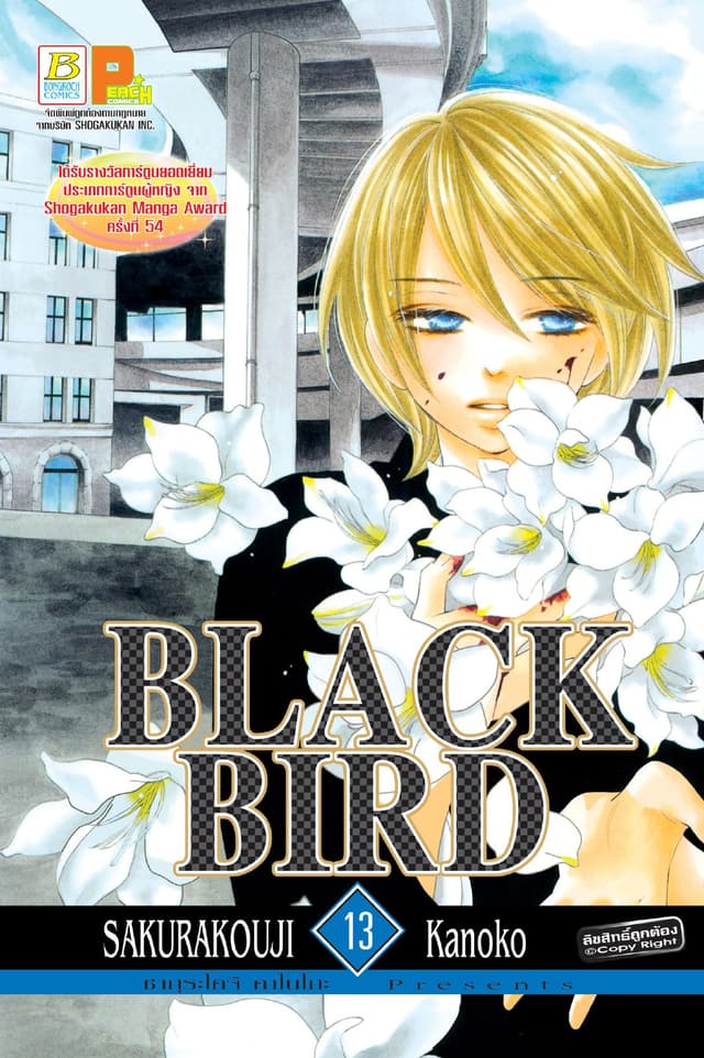BLACK BIRD 13