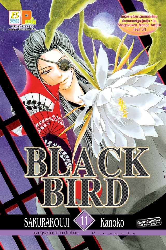 BLACK BIRD 11