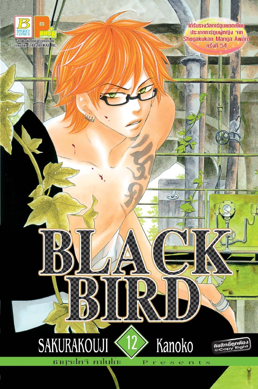 BLACK BIRD 12