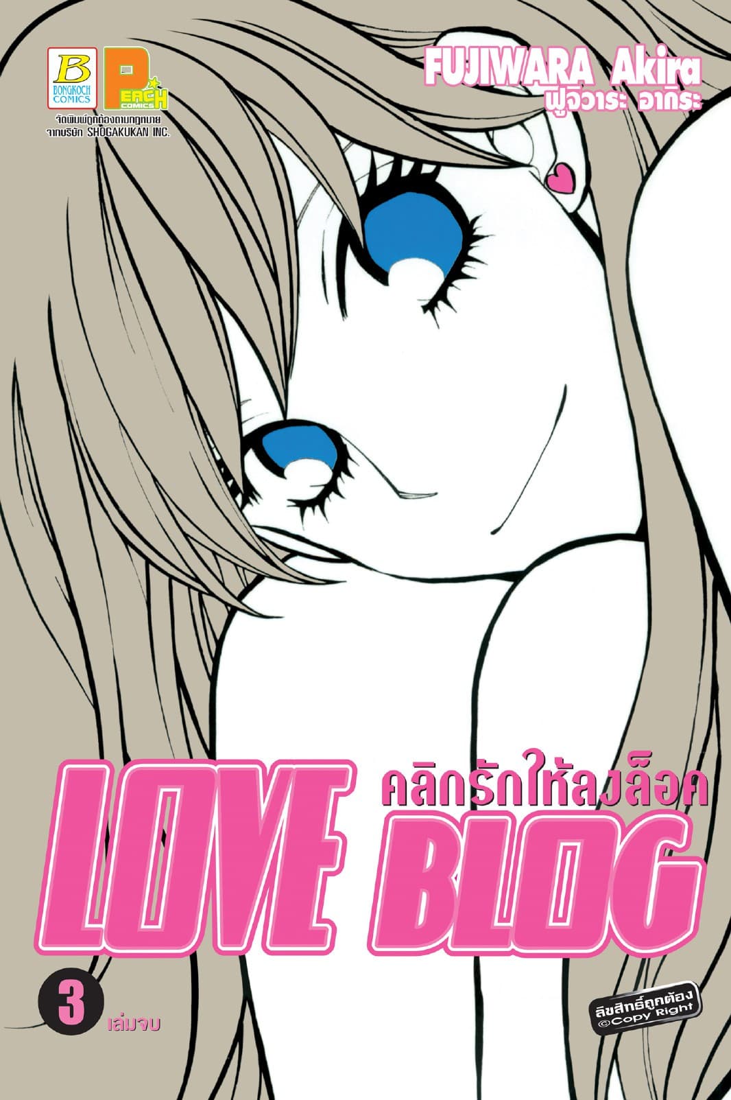 LOVE BLOG คลิกรักให้ลงล็อค 3 (เล่มจบ)