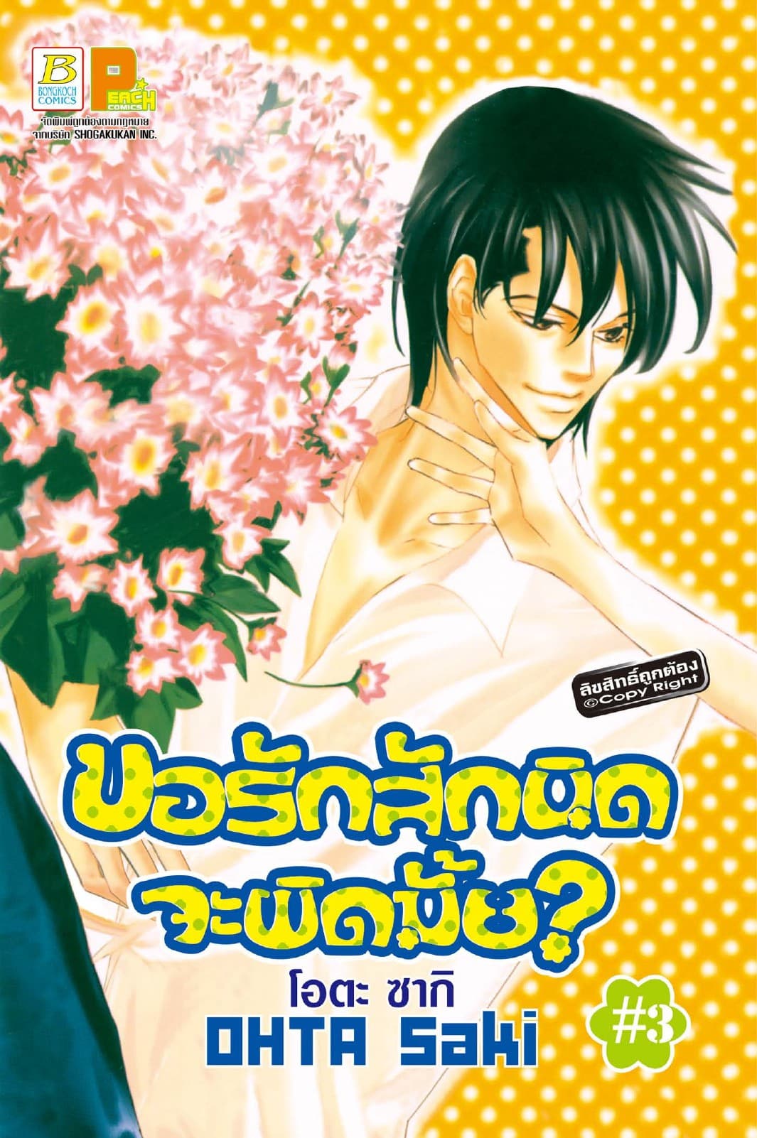 ขอรักสักนิดจะผิดมั้ย? 3