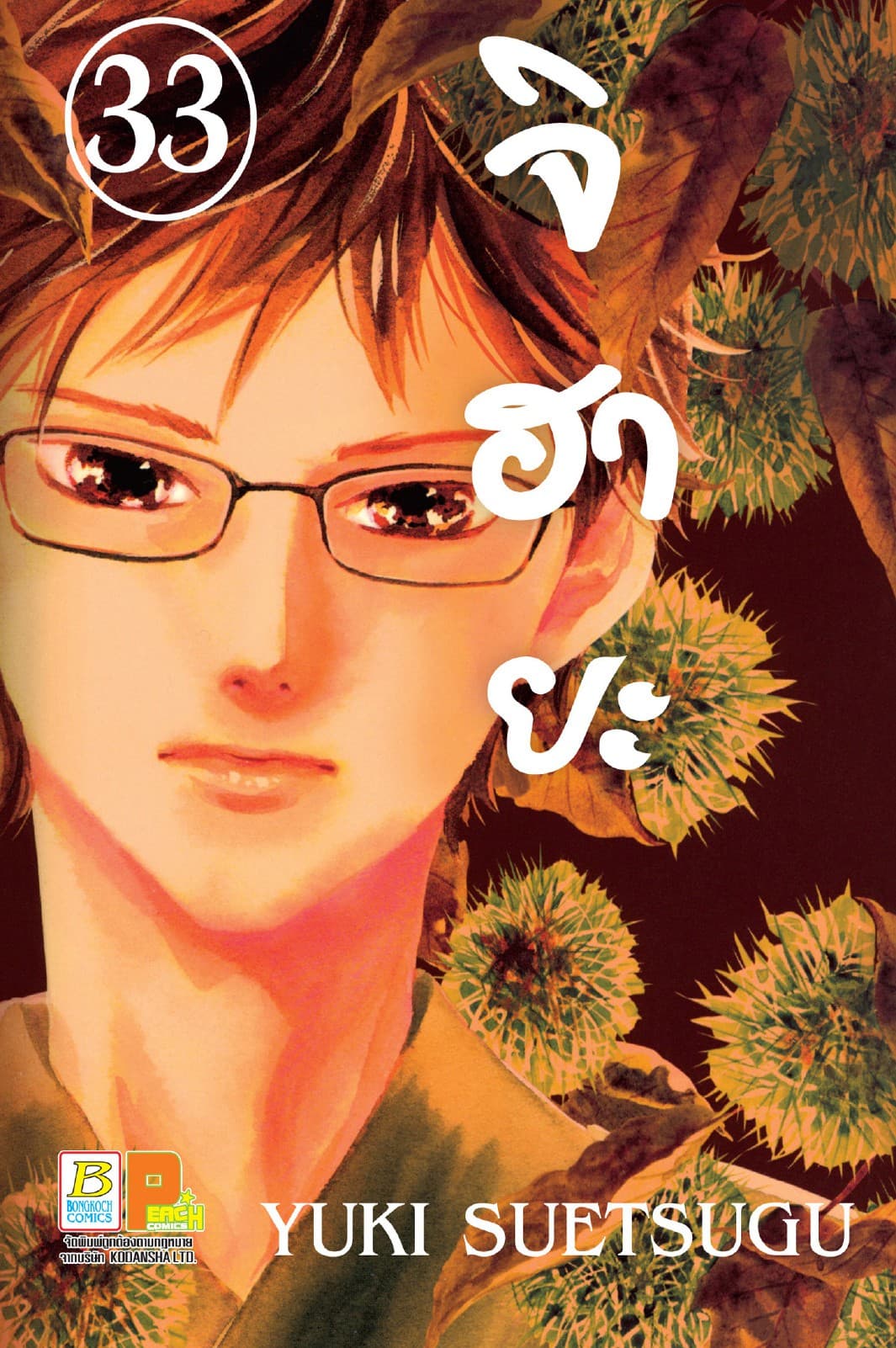 จิฮายะ 33