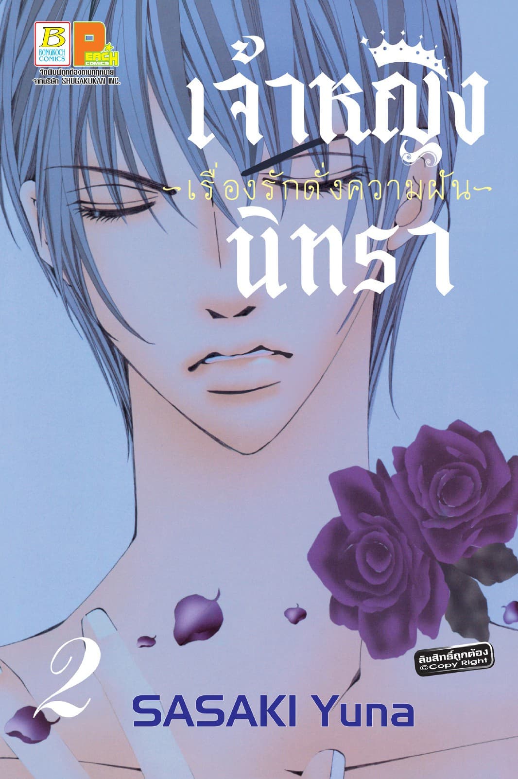 เจ้าหญิงนิทรา -เรื่องรักดั่งความฝัน- 2