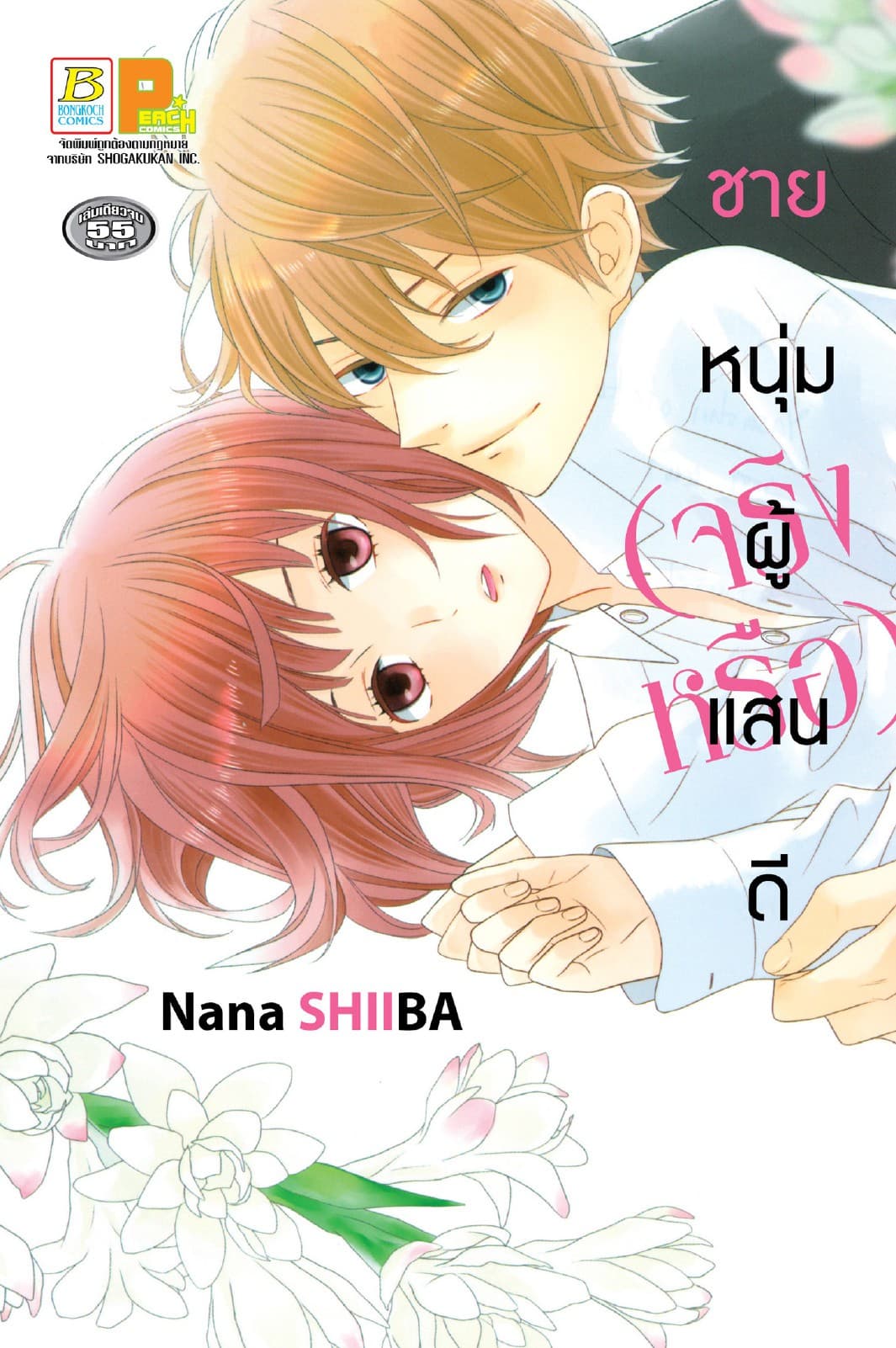 ชายหนุ่มผู้แสนดี (จริงหรือ) (เล่มเดียวจบ)