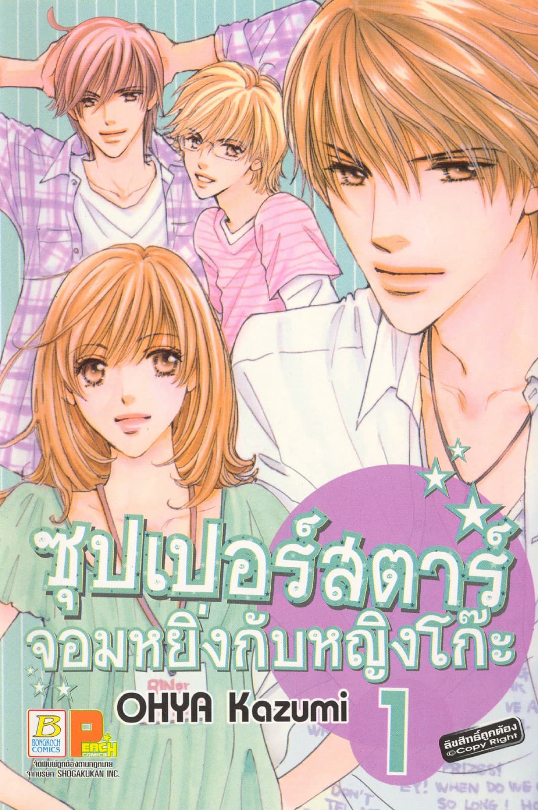 ซุปเปอร์สตาร์จอมหยิ่งกับหญิงโก๊ะ 1