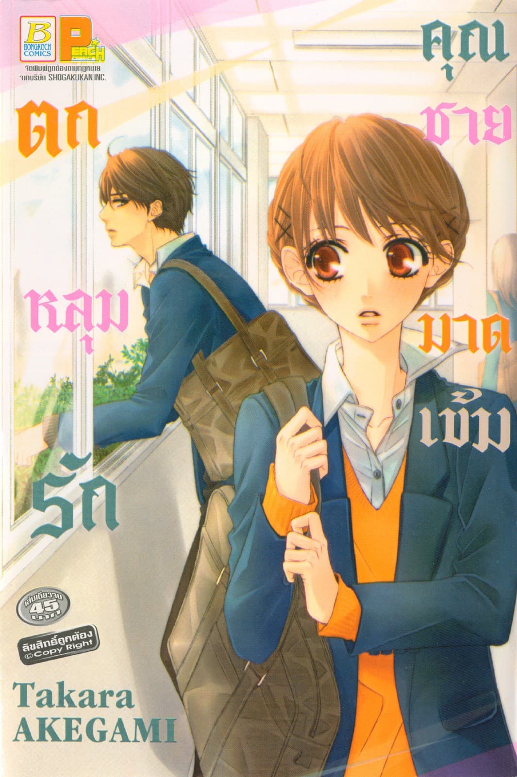 ตกหลุมรักคุณชายมาดเข้ม (เล่มเดียวจบ)