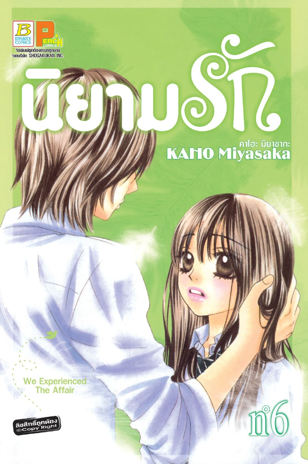 นิยามรัก 6