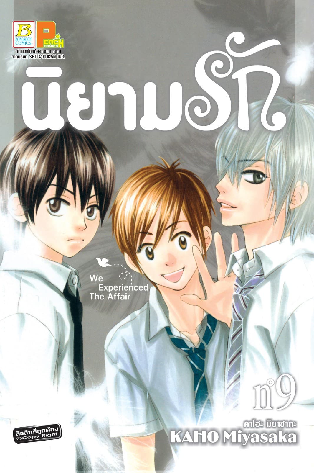 นิยามรัก 9