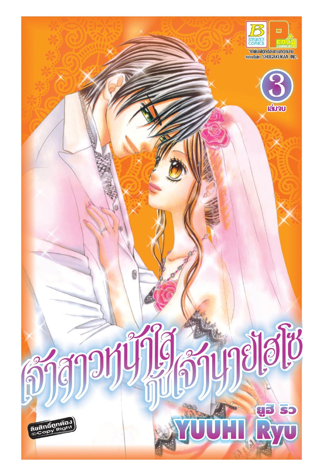 เจ้าสาวหน้าใสกับเจ้านายไฮโซ 3 (เล่มจบ)