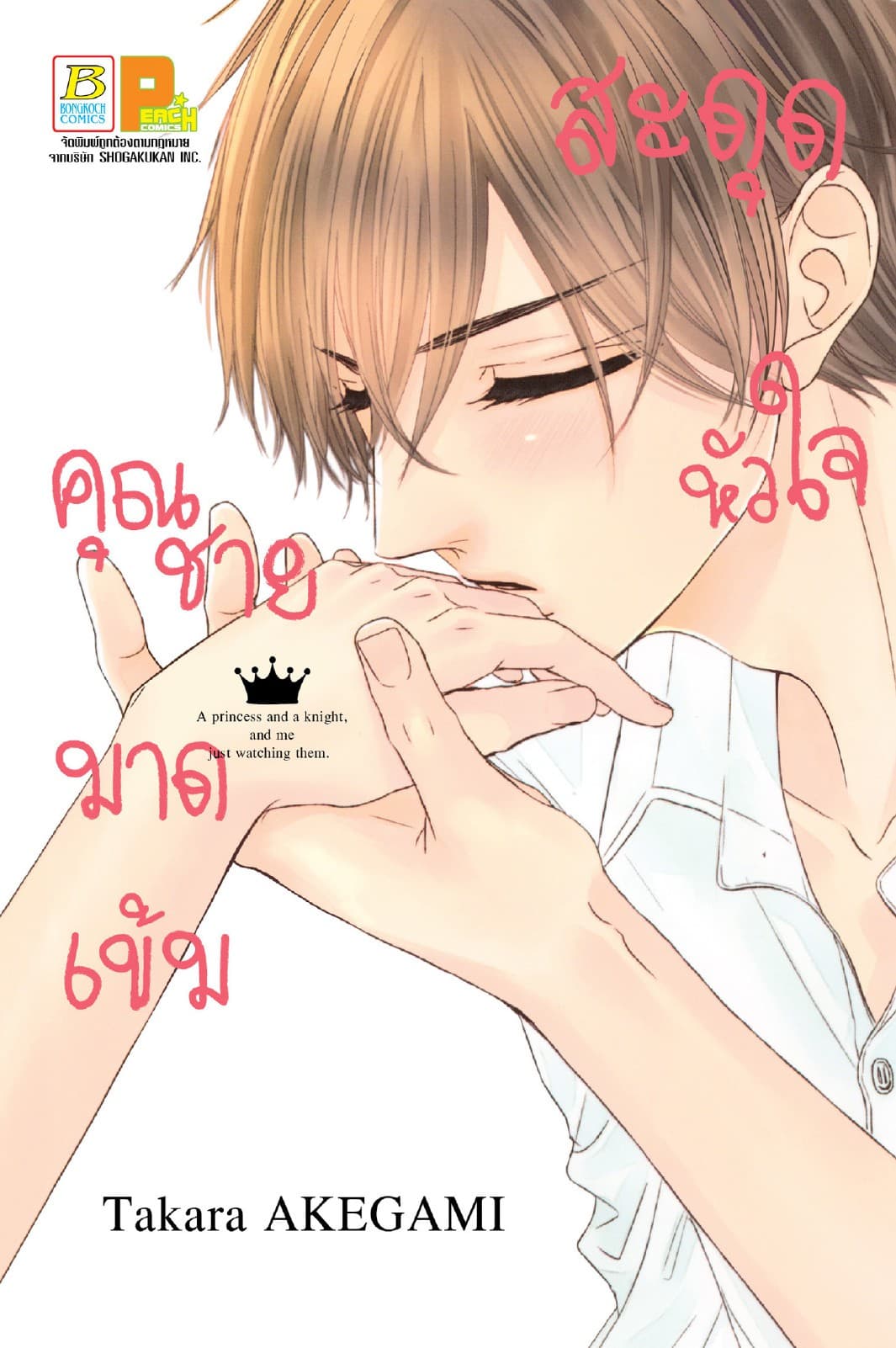 สะดุดหัวใจคุณชายมาดเข้ม (เล่มเดียวจบ)