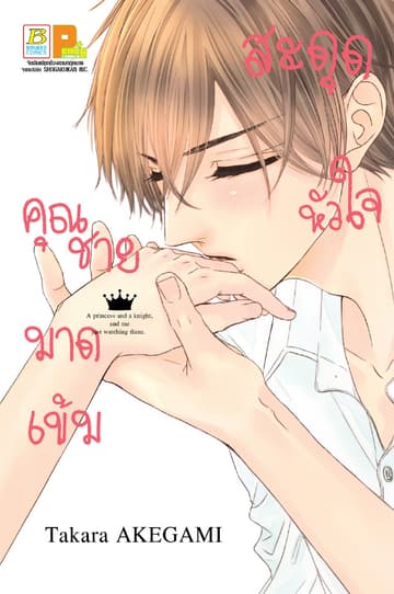 สะดุดหัวใจคุณชายมาดเข้ม (เล่มเดียวจบ)