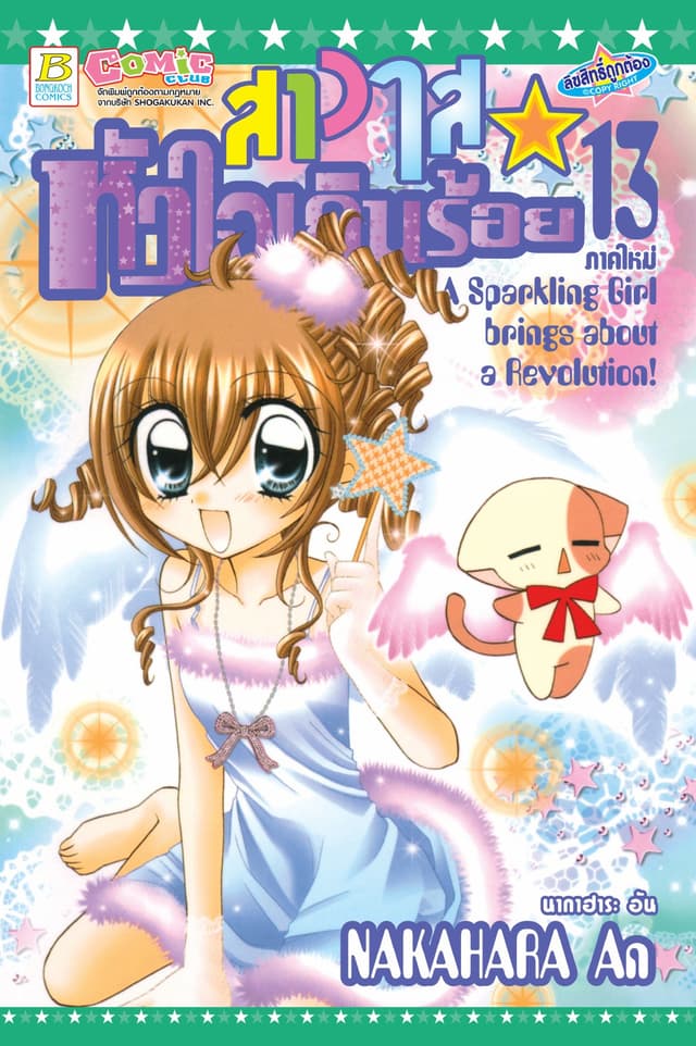 สาวใสหัวใจเกินร้อย 13