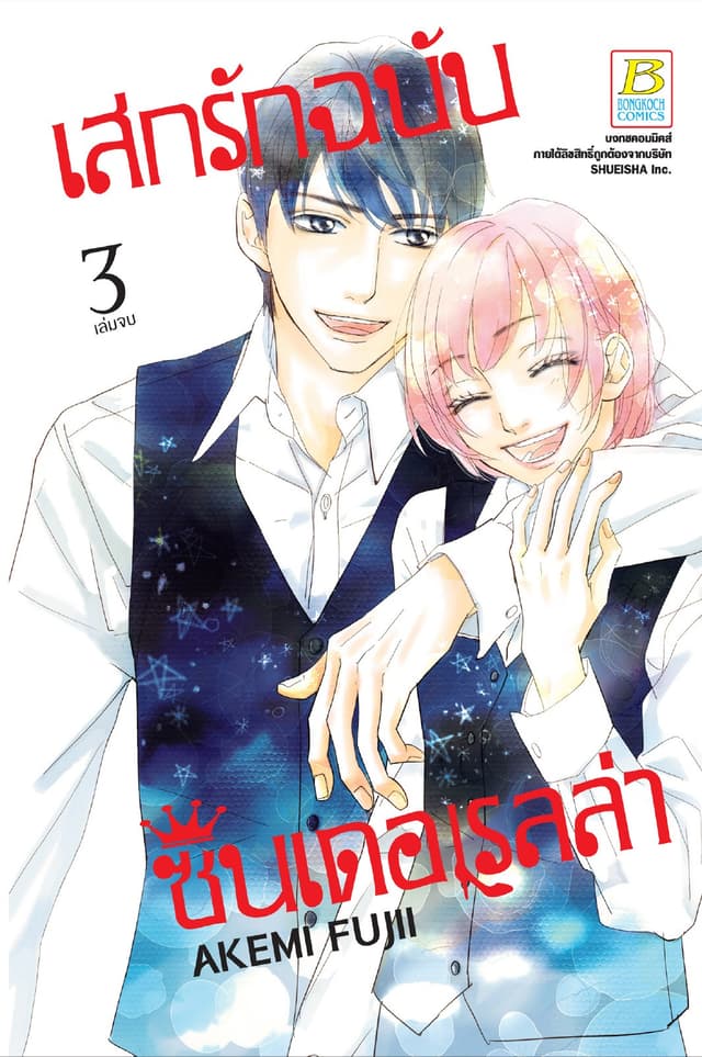 เสกรักฉบับซินเดอเรลล่า 3 (เล่มจบ)
