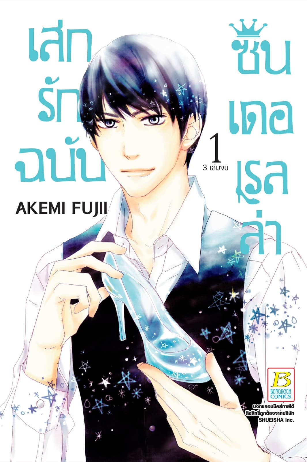เสกรักฉบับซินเดอเรลล่า 1