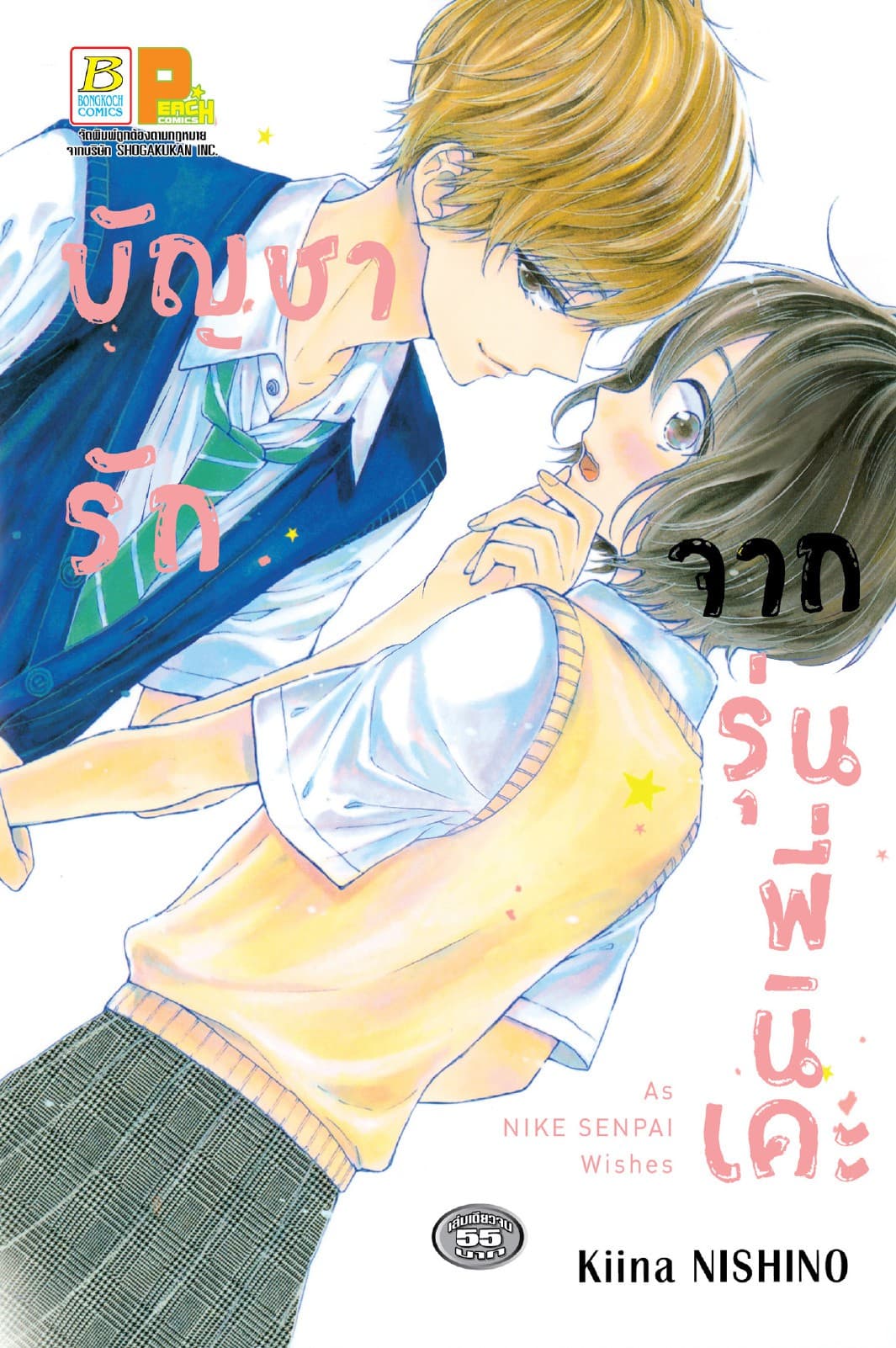 บัญชารักจากรุ่นพี่นิเคะ (เล่มเดียวจบ)