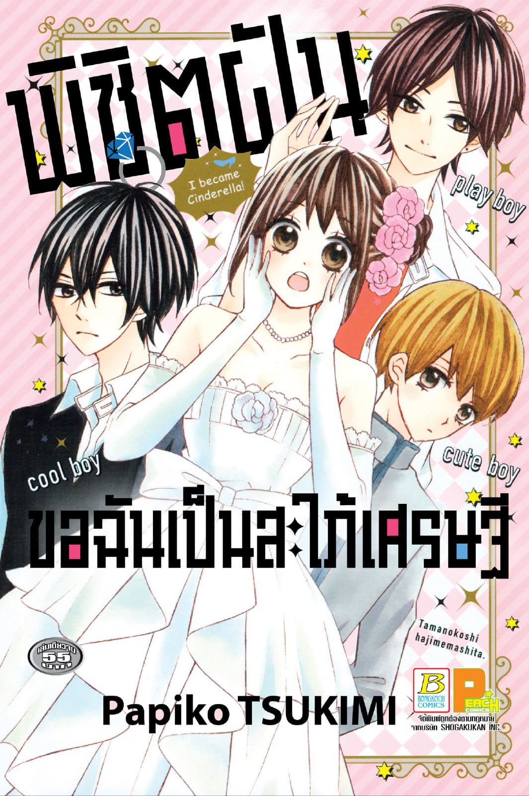 พิชิตฝันขอฉันเป็นสะใภ้เศรษฐี (เล่มเดียวจบ)