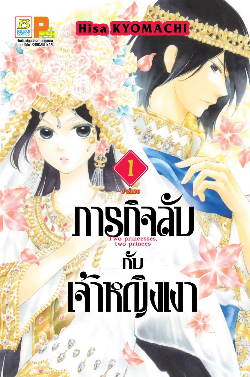 ภารกิจลับกับเจ้าหญิงเงา 1
