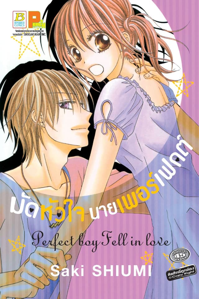 มัดหัวใจ นายเพอร์เฟกต์ Perfect boy Fell in love (เล่มเดียวจบ)