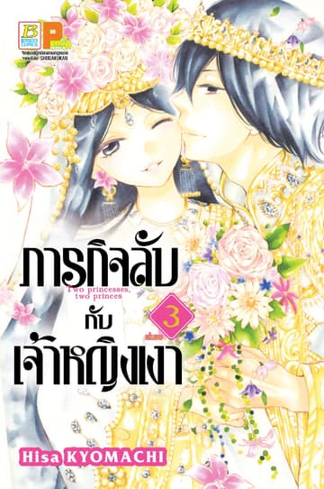 ภารกิจลับกับเจ้าหญิงเงา 3 (เล่มจบ)