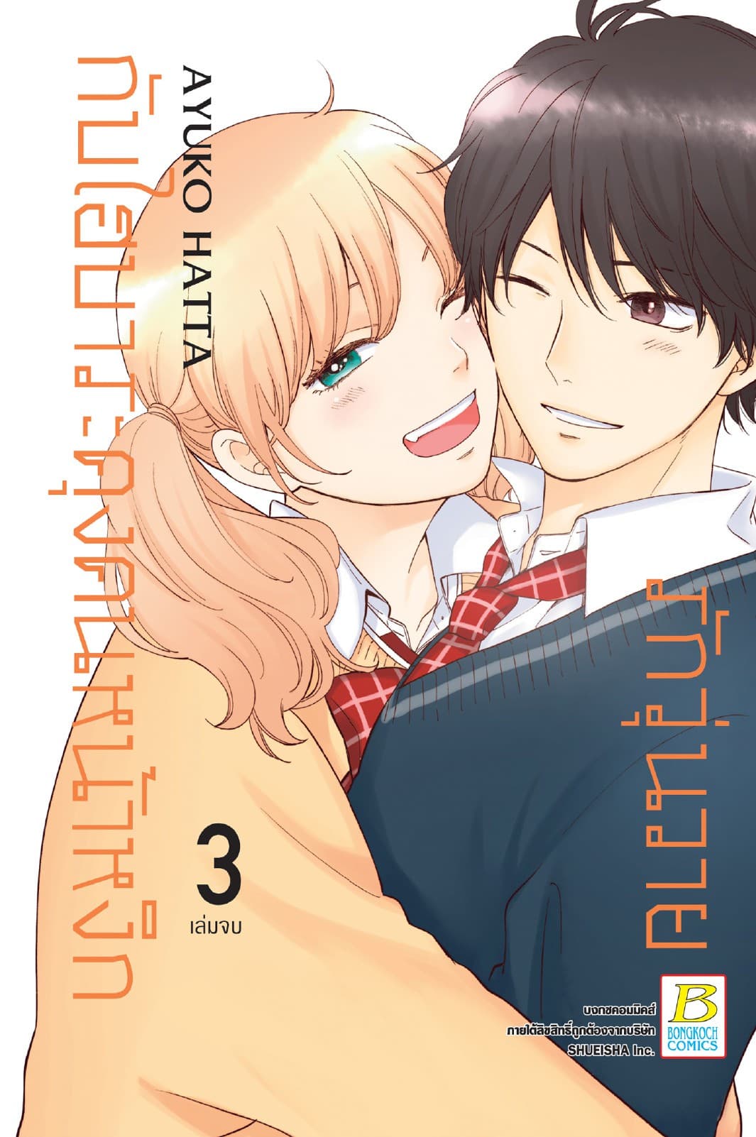 รักวุ่นวายกับไฮบาระคุงคนหน้าหงิก 3 (เล่มจบ)