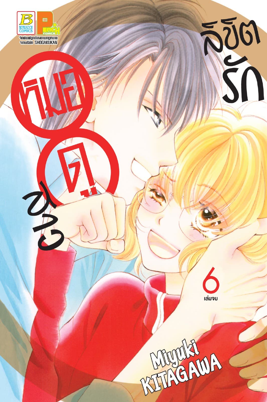 ลิขิตรักหมอดูสาว 6 (เล่มจบ)