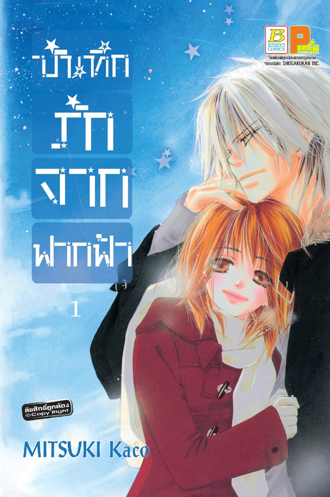 บันทึกรักจากฟากฟ้า 1