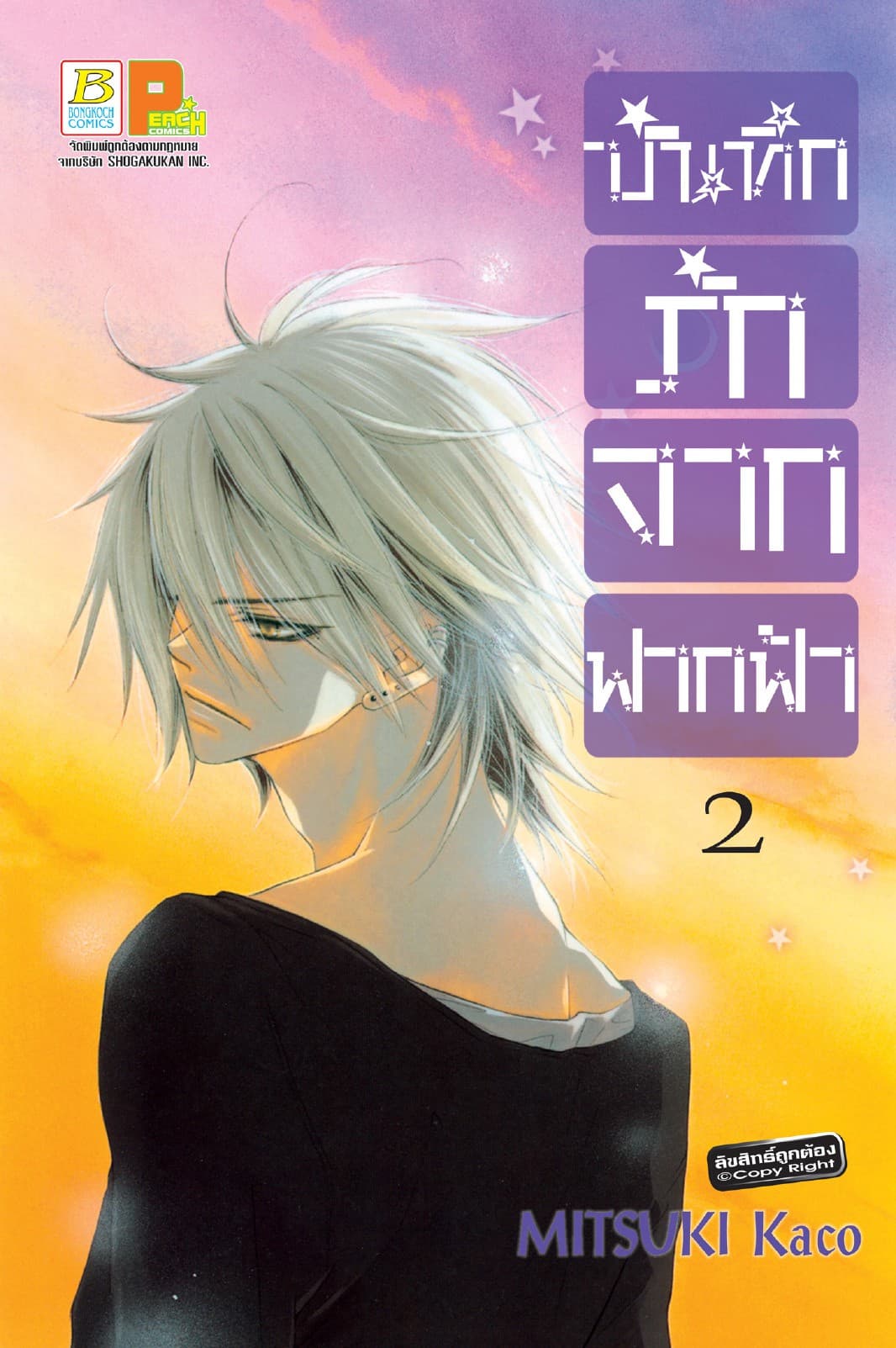 บันทึกรักจากฟากฟ้า 2