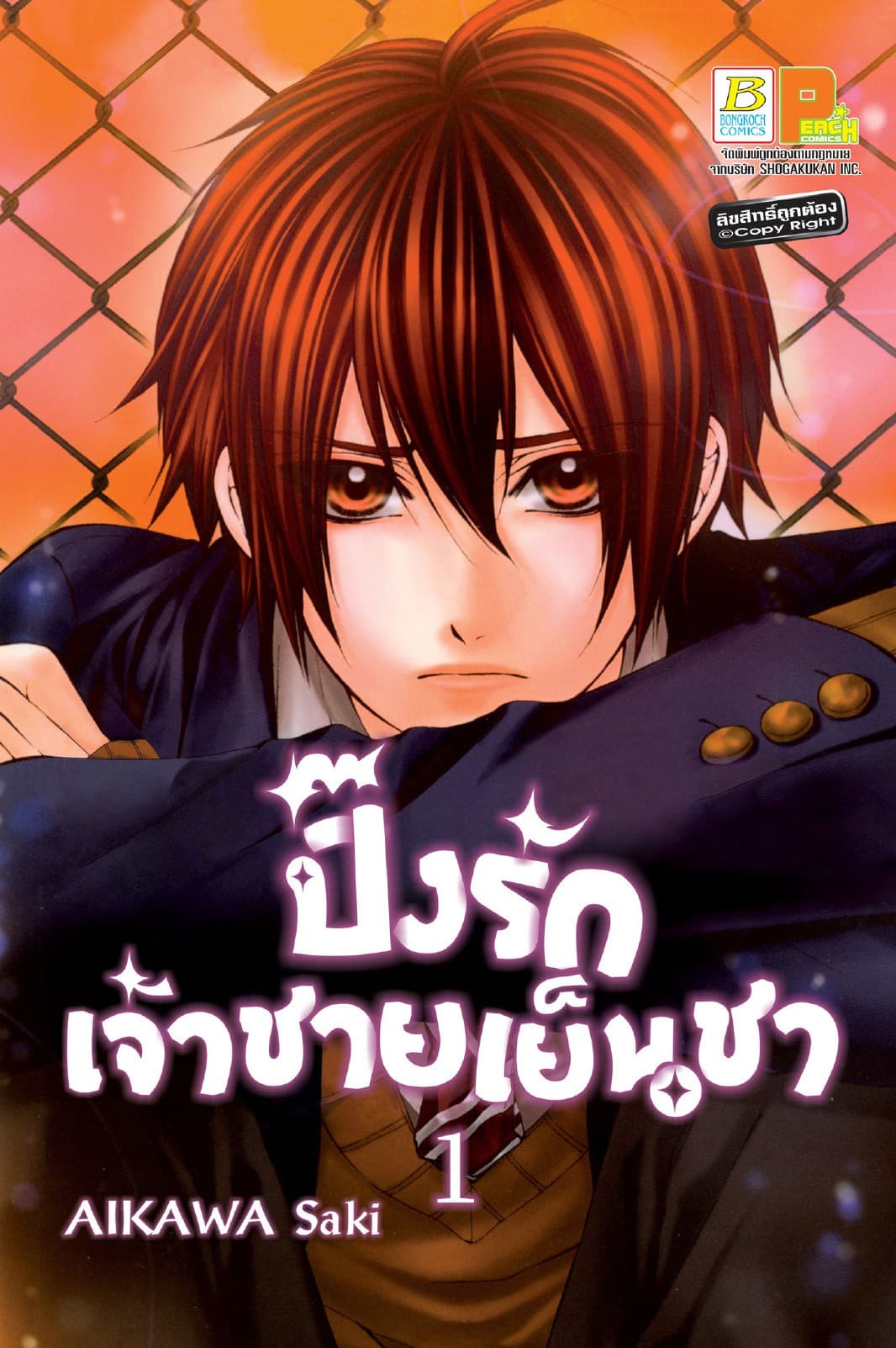 ปิ๊งรักเจ้าชายเย็นชา 1