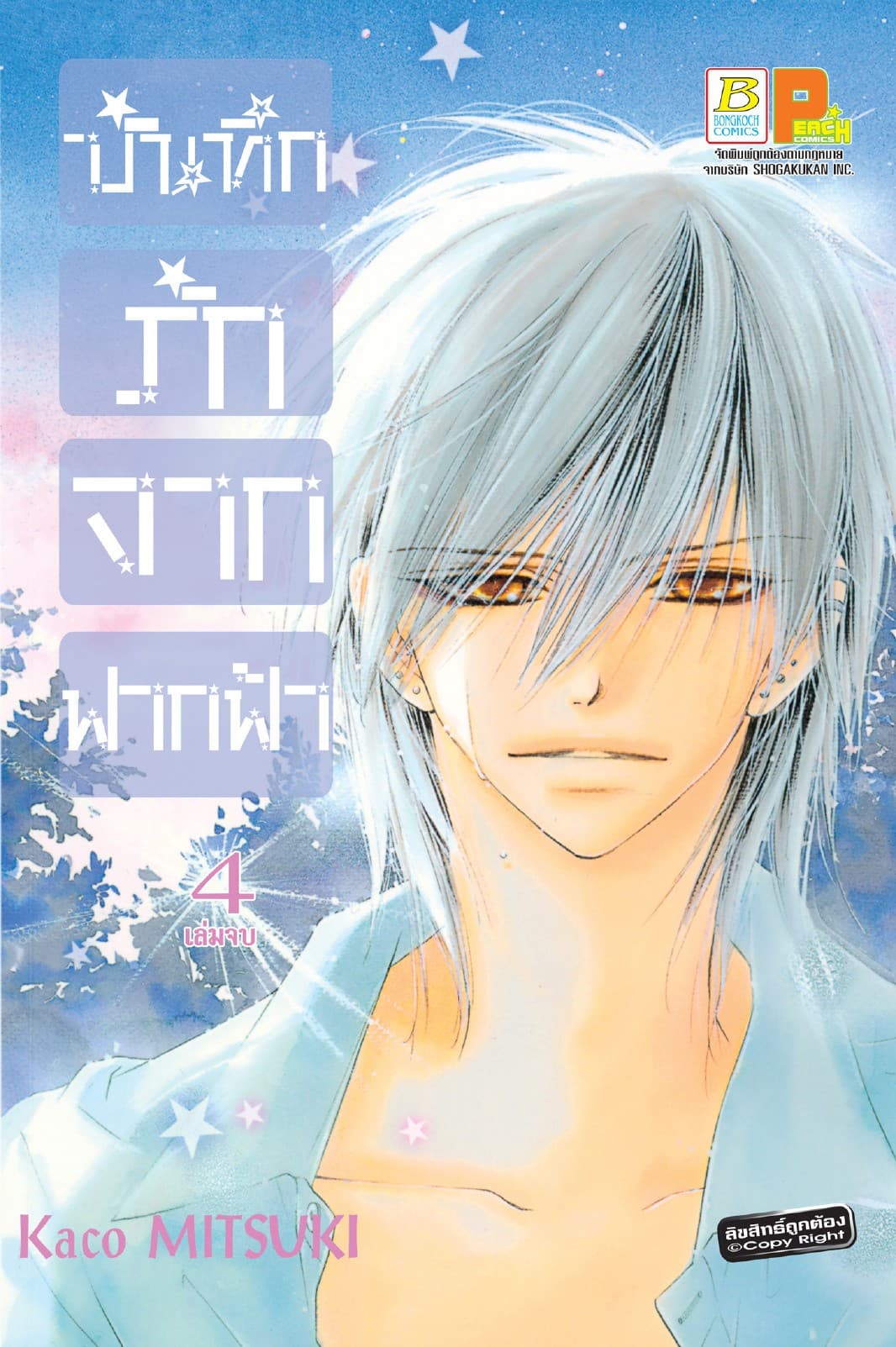 บันทึกรักจากฟากฟ้า 4 (เล่มจบ)
