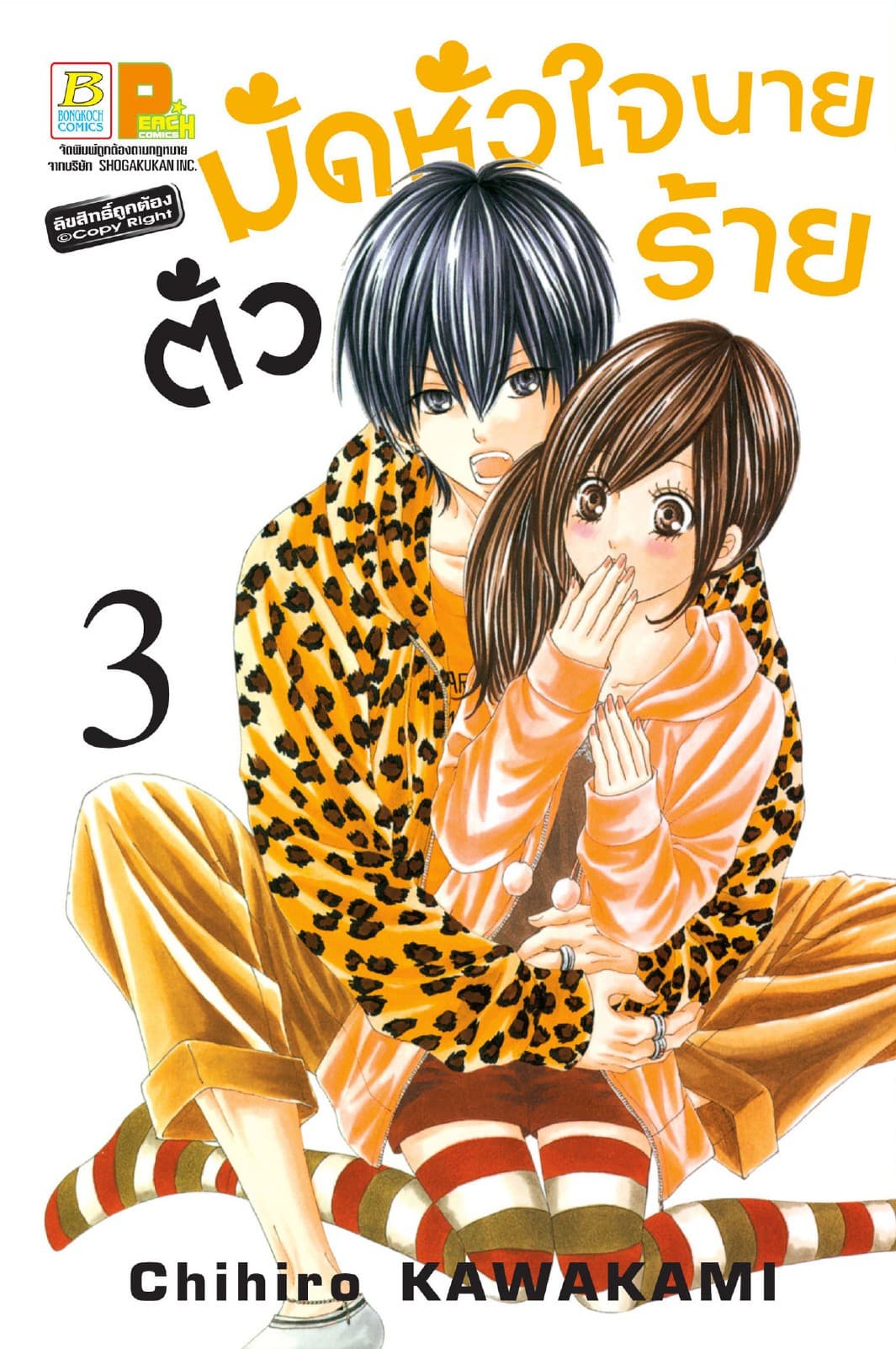 มัดหัวใจนายตัวร้าย 3