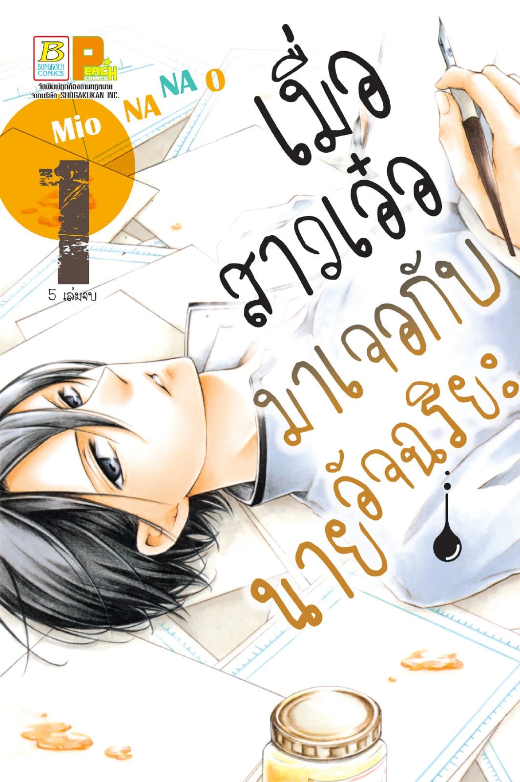 เมื่อสาวเอ๋อมาเจอกับนายอัจฉริยะ 1