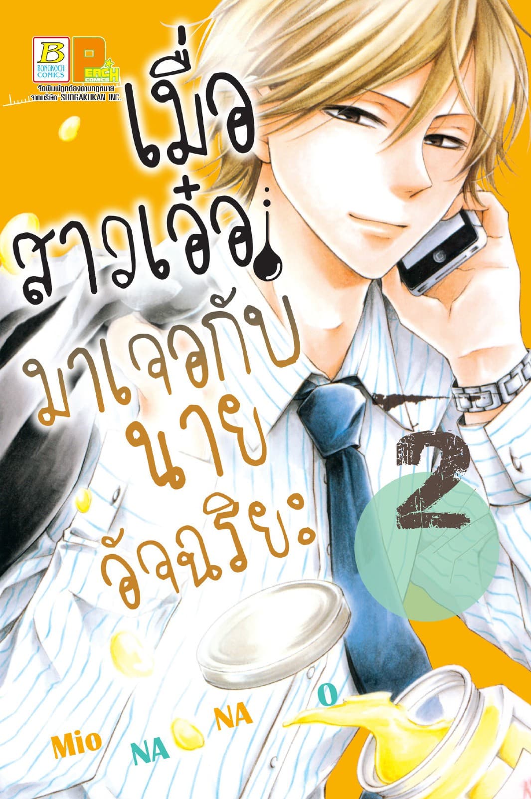 เมื่อสาวเอ๋อมาเจอกับนายอัจฉริยะ 2