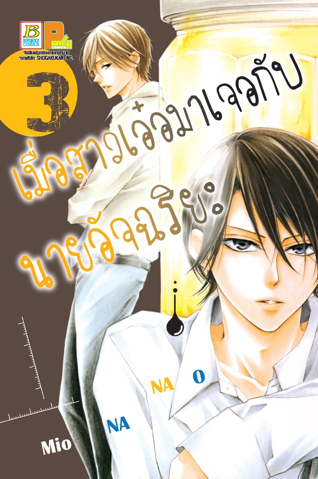 เมื่อสาวเอ๋อมาเจอกับนายอัจฉริยะ 3