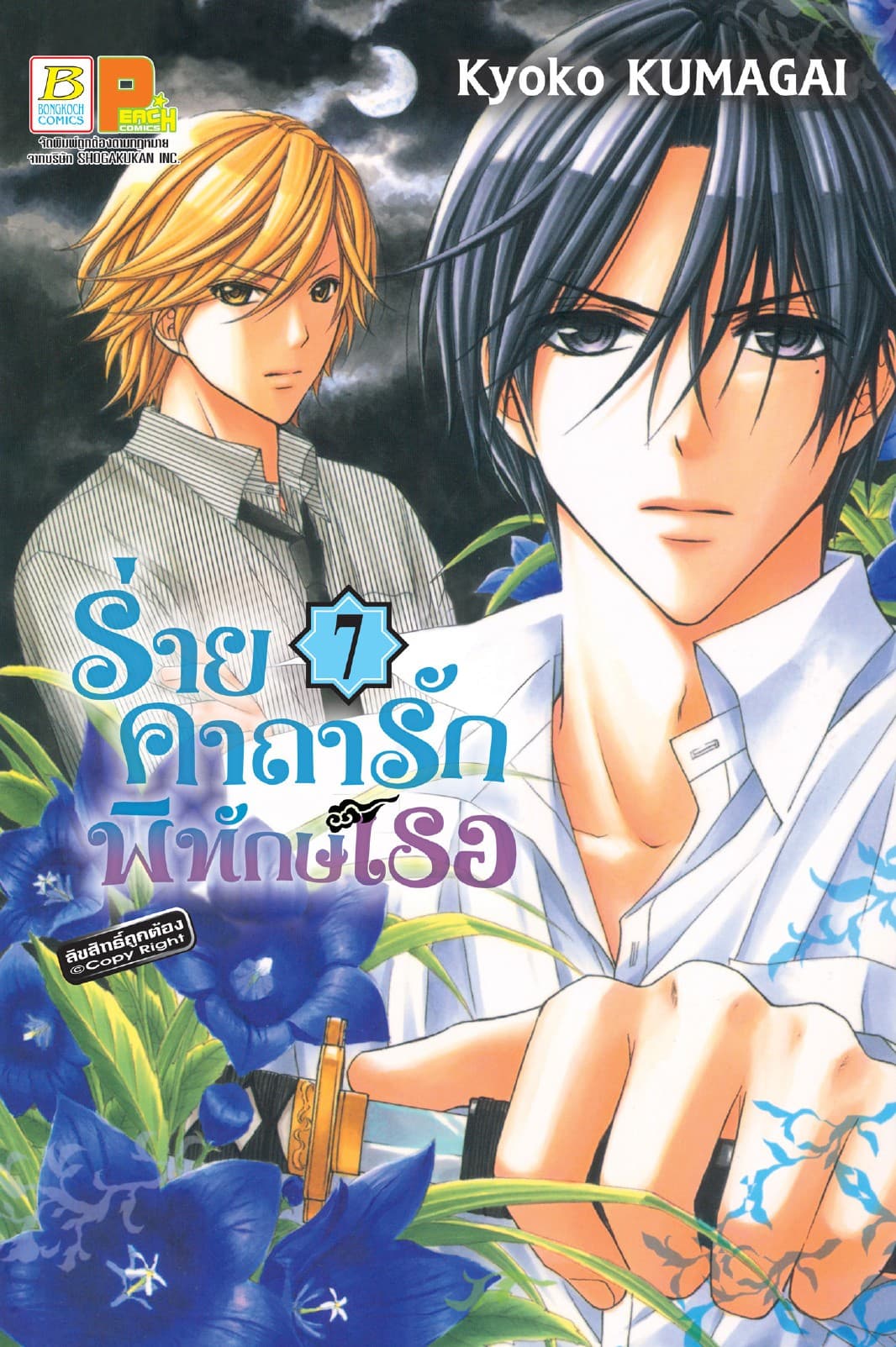 ร่ายคาถารัก พิทักษ์เธอ 7